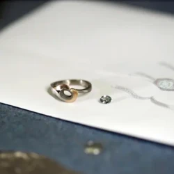 Ari Joy engagement ring components before final setting in Engagement Rings in Ermington
